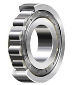RLS-22 Ball Bearings